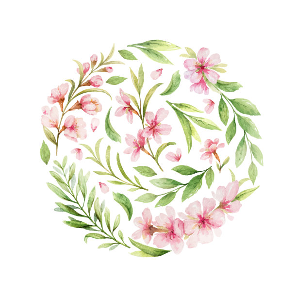 水彩安排粉红色的花和图片下载