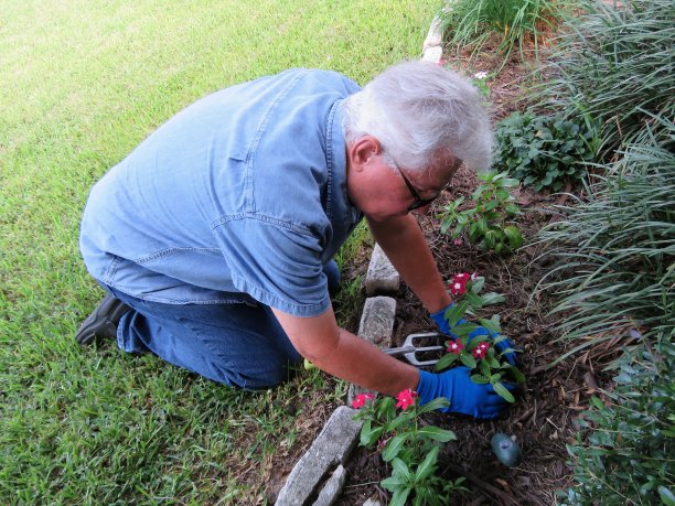 园丁，老年人种花图片下载