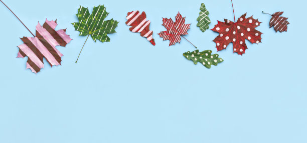 秋季创作的干叶，枫木，橡木涂上白色条纹，浅蓝色背景上的圆点。横幅回学校了。平铺，俯视图，拷贝空间图片下载