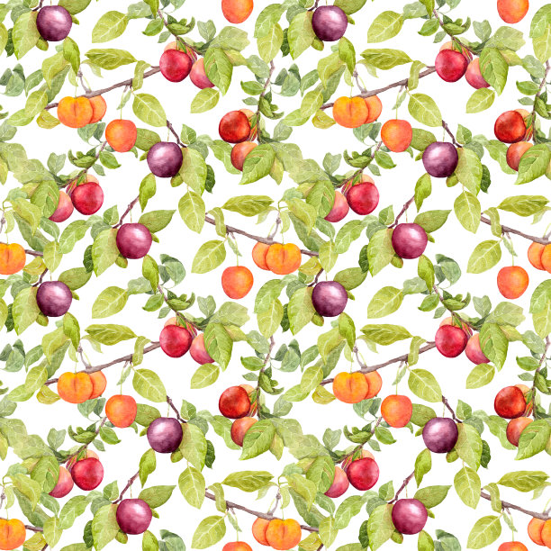 水果-花园里有李子，樱桃，苹果。无缝壁纸。水彩图片下载