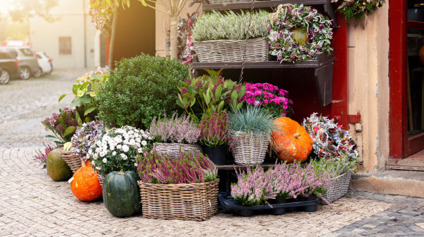 秋天的装饰图片下载