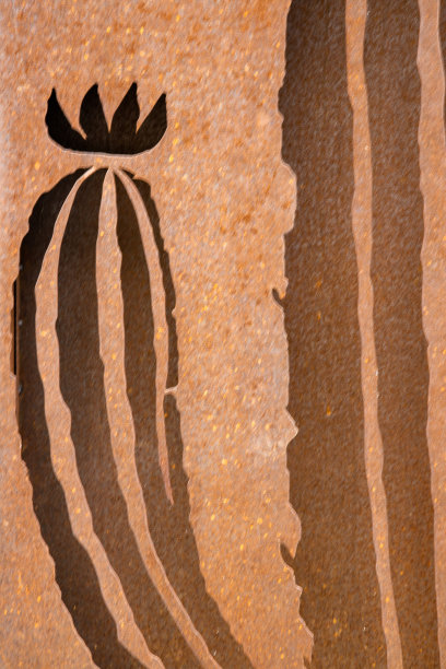 在一个植物园的仙人掌温室前面的生锈的金属背景上的仙人掌图案的细纹。垂直的照片。图片下载