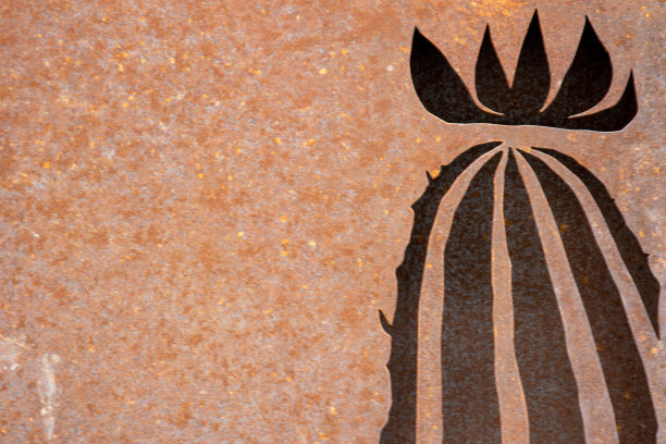 在一个植物园的仙人掌温室前面的生锈的金属背景上的仙人掌图案的细纹。水平的照片。图片下载