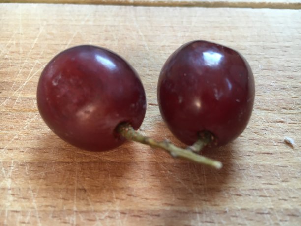 两颗红葡萄放在木砧板上图片下载