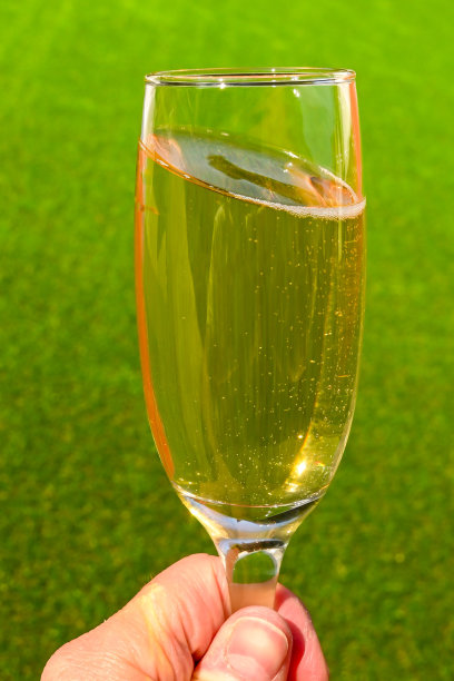 在一个花园中，香槟酒杯被举起来对着灯光，映衬着素净的绿色背景图片下载