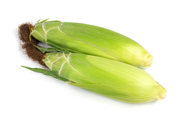 白色背景上的玉米图片下载