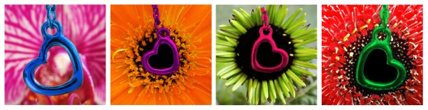 我的心花图片下载