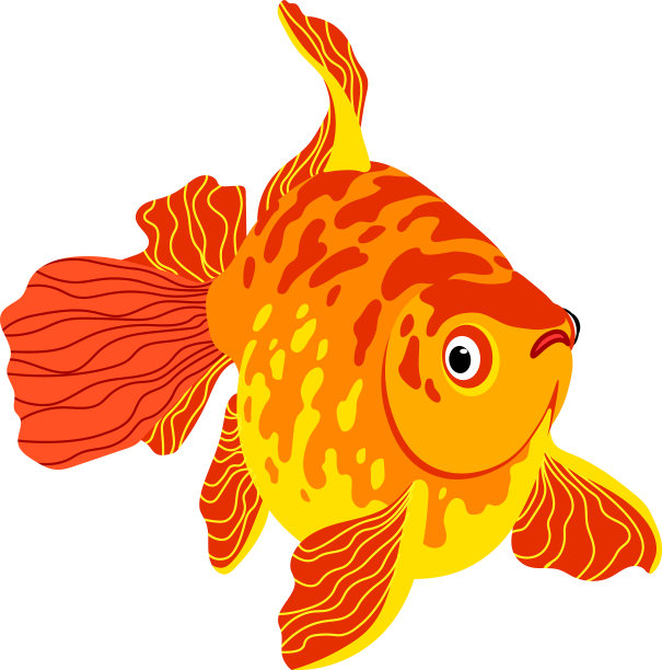 红色装饰鱼缸斑点金鱼图片下载