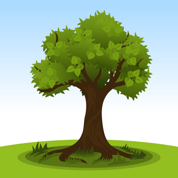 夏天的树和绿色的叶子图片下载