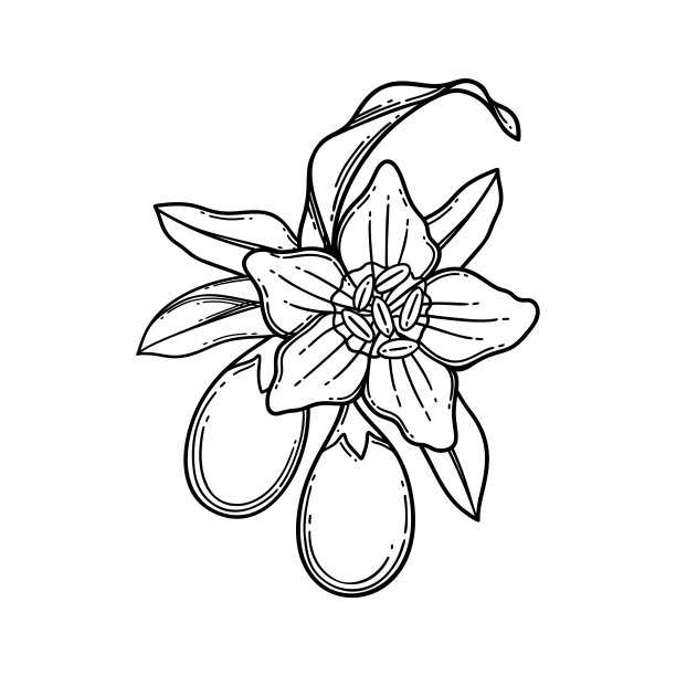 由枸杞浆果、花和叶子制成的图形小插图。图片下载