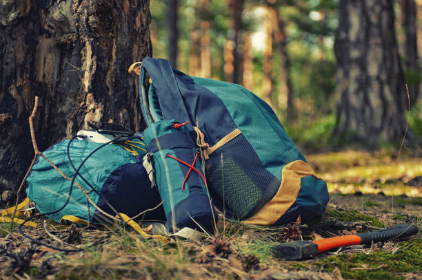 便携式旅行充电器。动力银行在旅行袋和森林的背景下为智能手机充电。关于旅游主题的概念。图片下载