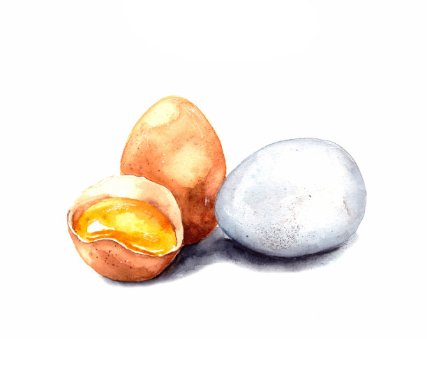 手绘水彩插图。鸡蛋在白色背景上的图像。白色和棕色的鸡蛋。带蛋黄的完整破蛋。孤立的图片下载
