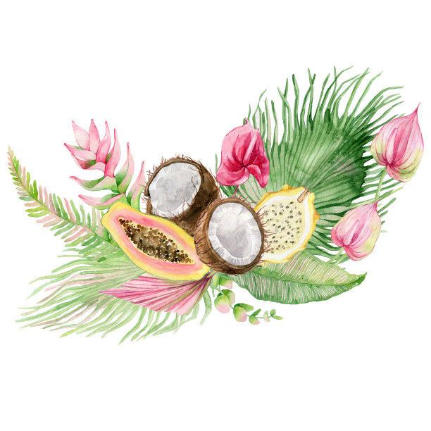 水彩花束，热带水果，鲜花和棕榈叶。图片下载