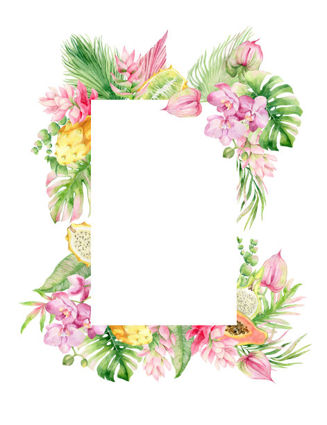 水彩画框架热带水果，花和棕榈叶。图片下载