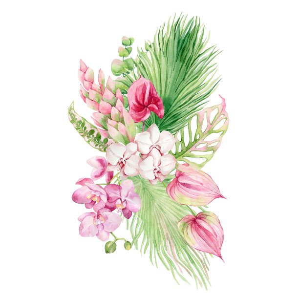 水彩花束，热带水果，鲜花和棕榈叶。图片下载