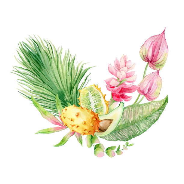 水彩花束，热带水果，鲜花和棕榈叶。图片下载