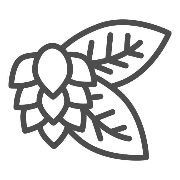 叶子和啤酒花线图标，精酿啤酒概念，啤酒花标志在白色背景，啤酒花植物图标轮廓风格的移动概念和网页设计。矢量图形。图片下载