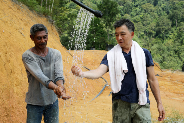 一对夫妇站在公园里图片下载