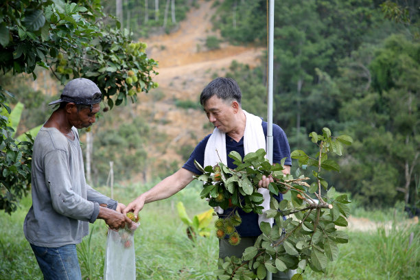 一对夫妇站在公园里图片下载