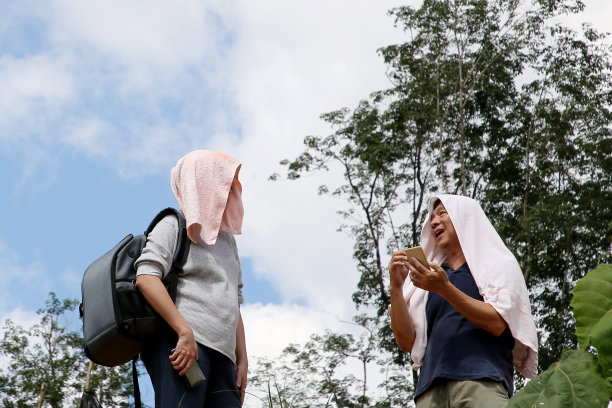 一对年轻夫妇站在树上对着天空拍照图片下载