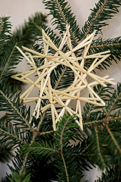 稻草星星躺在松枝上图片下载