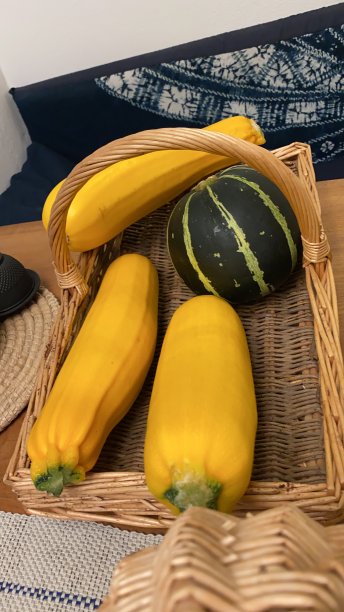 西葫芦图片下载