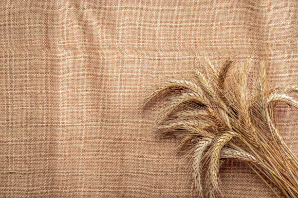 粮食领域。整个，大麦，收获的小麦芽。小麦穗或黑麦穗，植株在亚麻质地或棕色的天然有机背景上，为面包粉谷类。平铺，复制空间。图片下载