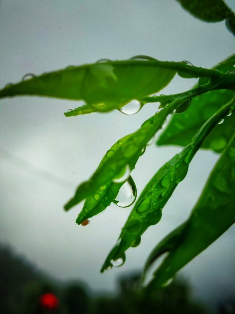 坏天气的场景图片下载