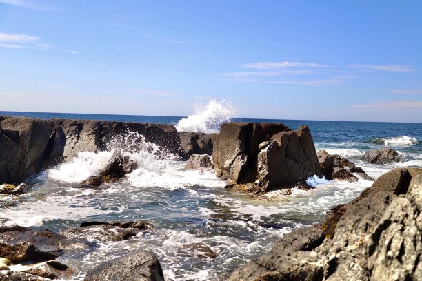 纽芬兰拉布拉多角犬图片下载