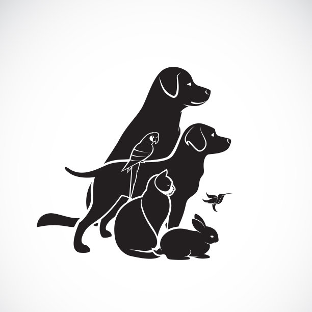 群宠物-狗，猫，蜂鸟，鹦鹉图片下载