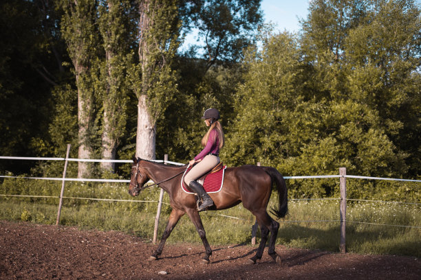 年轻漂亮的女孩和她的马图片下载