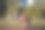 年轻漂亮的女孩和她的马图片下载