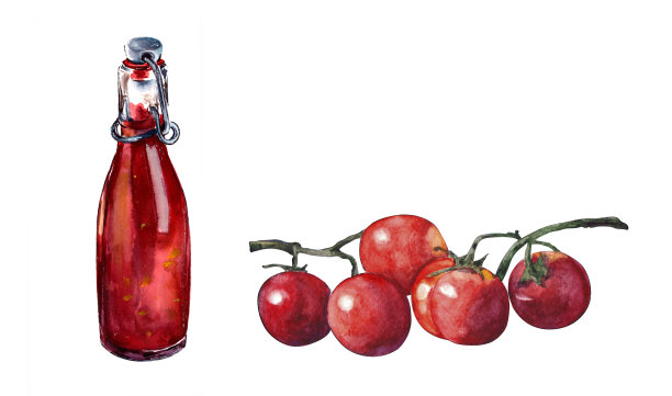 水彩画。新鲜素食概念。蕃茄酱在玻璃瓶和一个成熟的红色西红柿在白色的背景。孤立。图片下载