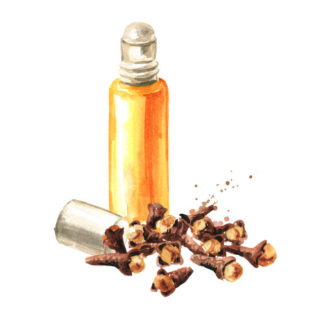 丁香树芽和精油与辊。手绘水彩插图孤立的白色背景图片下载