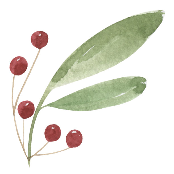 水彩圣诞树枝与红浆果。冬天，节日，新年，花环，装饰，明信片，剪贴簿。图片下载