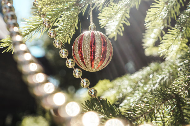 挂在树枝上的圣诞球。图片下载