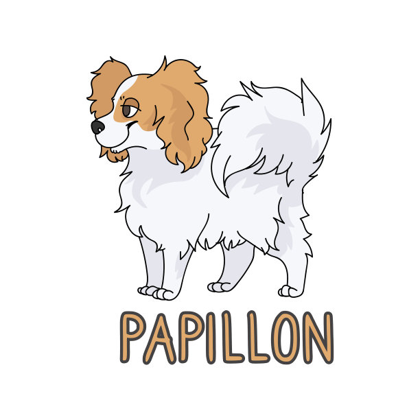 可爱的卡通蝴蝶犬品种与文字图片下载