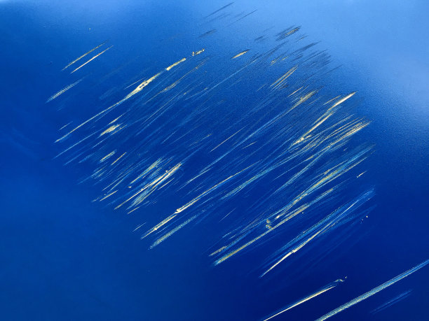 特写蓝色的汽车划伤纹理。图片下载