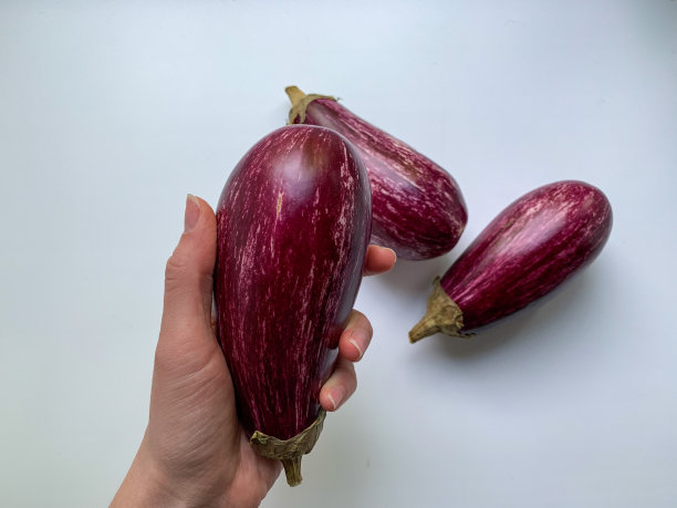 白色背景上，手拿大理石茄子。适当的营养，素食，健康的营养。图片下载