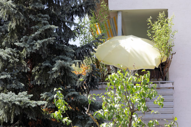 阳台上的阳伞图片下载