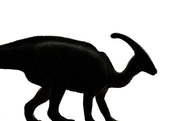Dinosaur-Parasaurolophus轮廓图片下载