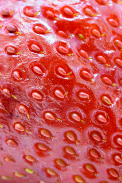 一张微距照片，显示草莓表面的种子图片下载