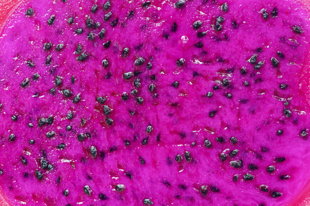 奇异的粉红色火龙果切微距照片的背景。龙水果特写镜头。Pitahaya纹理照片。甜甜的热带水果，多汁的火龙果切图片下载