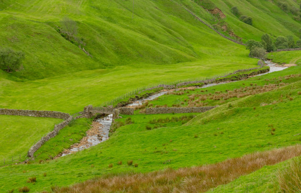 斯通代尔·贝克(stonedale Beck)蜿蜒穿过斯瓦尔代尔凯尔德(Keld)附近的深谷。北约克郡。图片下载