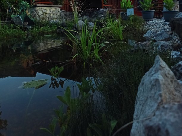 房子前面的池塘。图片下载