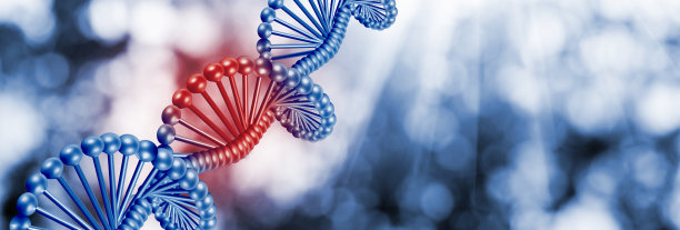 模糊背景下DNA链的抽象图像。三维演示图片下载