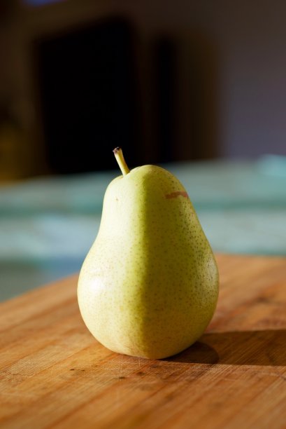 孤立的梨花，一边点燃另一边的影子。图片下载