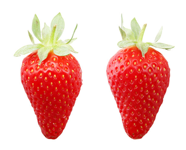 白色背景上孤立的草莓果实图片下载