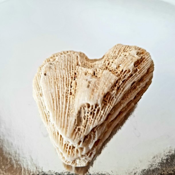 铁石心肠图片下载