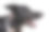 特写的一个愉快的纯种边境牧羊犬寻找孤立的白色背景与复制空间。有趣的惊讶的小狗，盯着宠物显示舌头，嘴张开。图片下载